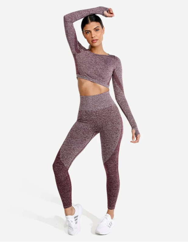 Marl Seamless crop tee (SQUATWOLF)