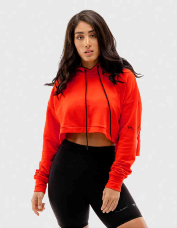 Vibe crop hoodie (SQUATWOLF)